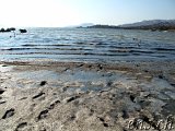 Bafa-Gölü - es riecht übel ... 