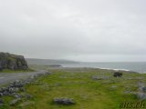  The Burren Landscape 