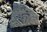 Petroglyphs @ Puako