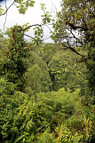 Kahuna Falls (leider nicht besser sichtbar)