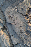 Waikoloa Beach Park Petroglyphs