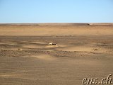  Wüstenfuchs beim Guelb er Richat 