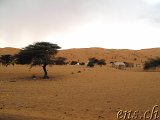  Guelta de Matmata - Moudjeria 