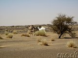  Bou Naga - Nouakchott 