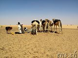  Brunnen : Bou Naga - Nouakchott 