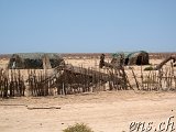  Auf dem Weg von Nouakchott Richtung  Nationalpark Banc d’Arguin 