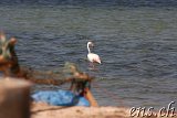  Nationalpark Banc d’Arguin 