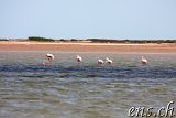  Nationalpark Banc d’Arguin 