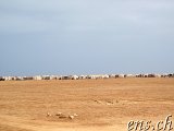  Dakhla Richtung Agadir 