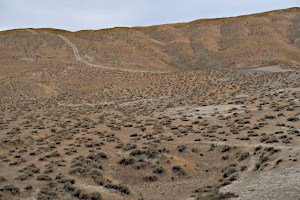 den steilen Berg hoch zum Vulkan 2