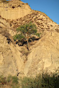 Vashlovani Nationalpark