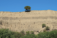 Waschlowani / Vashlovani-Nationalpark