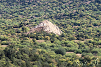 Waschlowani / Vashlovani-Nationalpark