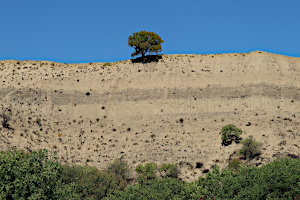 Vashlovani Nationalpark