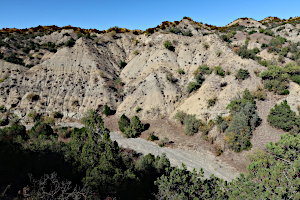 Vashlovani Nationalpark