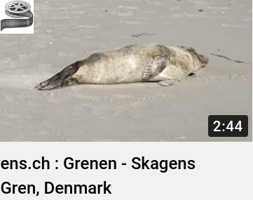 Dänemark : Skagen - Grenen - ens.ch_youtube_video