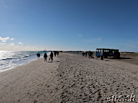 Grenen - Skagens Gren