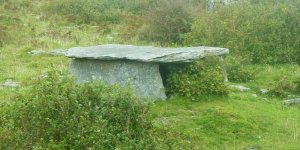  Burren - The Place of Stone 