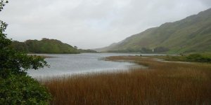  Connemara 