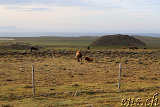  Illugastaðir ... und weiter Richtung Hvítserkur 