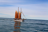  Whale-Watching Husavik 