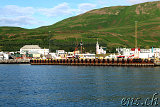  Whale-Watching Husavik 