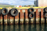  Whale-Watching Husavik 