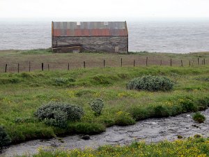  Asbyrgi Richtung Husavik 