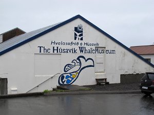  The Husavik Whale Museum 