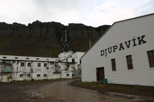  Die alte Heringsfabrik in Djupavik 