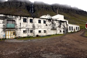  Die alte Heringsfabrik in Djupavik 