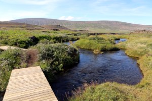  Weg zm Aldeyjarfoss 