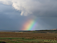 Hvitserkur - Rainbow :)