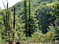 Ponte Tibetano