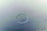 Komet C/2013 R1 Lovejoy<br />04:16 Uhr<br />EF 24-70 f/2.8L USM : 70mm, f2.8, ISO 1600, 31 Sek.<br />" inverse "