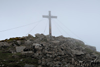 the Summit