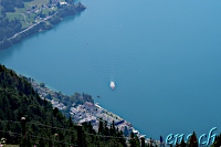 view to the lake