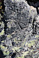 Petroglyphs (Petroglyphen) at the Sustenspitz ???