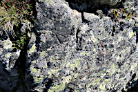 Petroglyphs (Petroglyphen) at the Sustenspitz ???