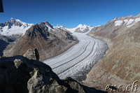 HB/VS-110 Eggishorn with the Aletsch Glacier