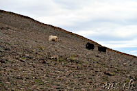hike up with accompaniment :)