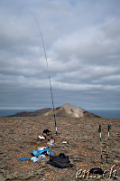 14 MHz EFHW with 6 Meter Pole :)