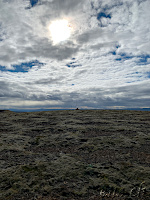 On Top of Sönghofsfjall, TF/AL-243