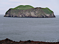 Bjarnarey - the remote Island @ Vestmannaeyjar (Westman Islands)