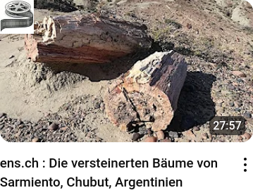 Die versteinerten Bäume von Sarmiento, Chubut, Argentinien - ens.ch_youtube_video